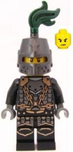 cas493